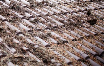 Lundwood roof cleaning companies